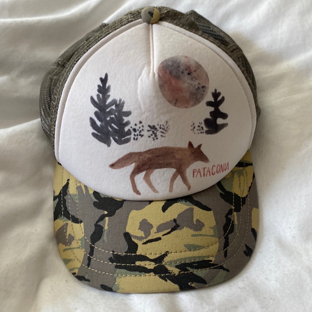 Patagonia Trucker Hat